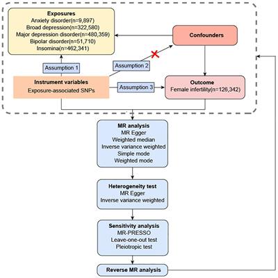 Common mental disorders and risk of female infertility: a two-sample Mendelian randomization study